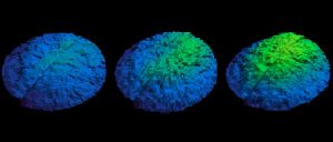 3D images of a solid liquid interface bulging due to the agglomeration of gas