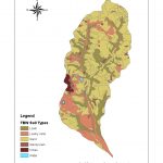 Tims Branch Watershed Soils