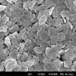 Synthesized autunite particles under Scanning Electron Microscopy