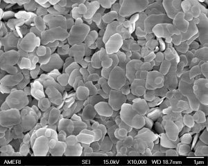 Synthesized autunite particles under Scanning Electron Microscopy