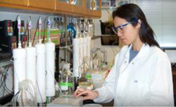 Highlight for the new FIU Nuclear Fellowships Program