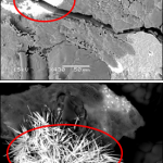 Scanning Electron Microscopy with Energy Dispersive Spectroscopy (SEM w/ EDS) imaging showing two regular morphologies for uranium-rich regions