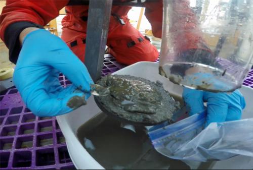 10.8.15-multicore-sampling