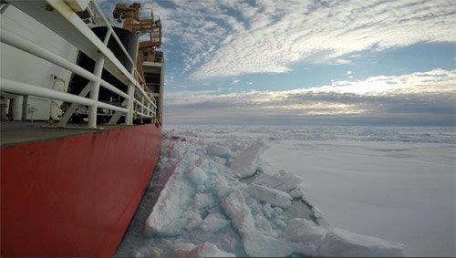 21322869995_8dcd58e731_o