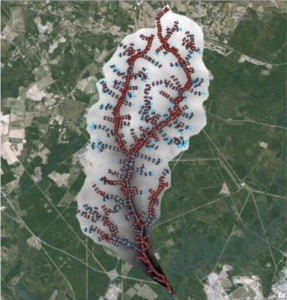Fig 2. Cross sections of streams and tributaries in Tims Branch watershed that are directly exported from ArcGIS into MIKE 11