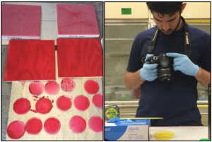 Samples from FX2 fogging test (left). DOE Fellow imaging samples for analysis (right).