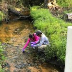 Noosha Mahmoudi with Ron Hariprashad at SRS